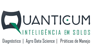 Quanticum
